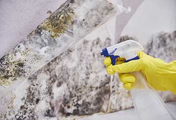 How To Deal With Mold | Drywall Repair & Remodeling Moorpark, CA